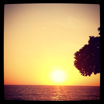 beautiful sunset